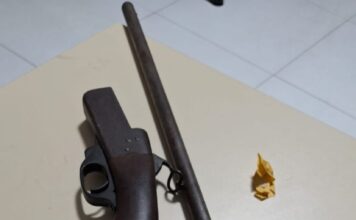 POLÍCIA MILITAR DE AROAZES APREENDE ARMAS DE FOGO NA FAZENDA SERRA NEGRA DURANTE CAÇA PREDATÓRIA