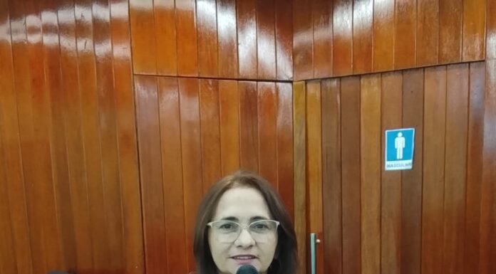 Vereadora Edna Quaresma fala sobre asfalto para comunidade Palmeirinha e agradece ao governador Rafael Fonteles e o Deputado Thales Coelho, confira